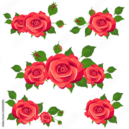 red roses  flowers  isolated on a white