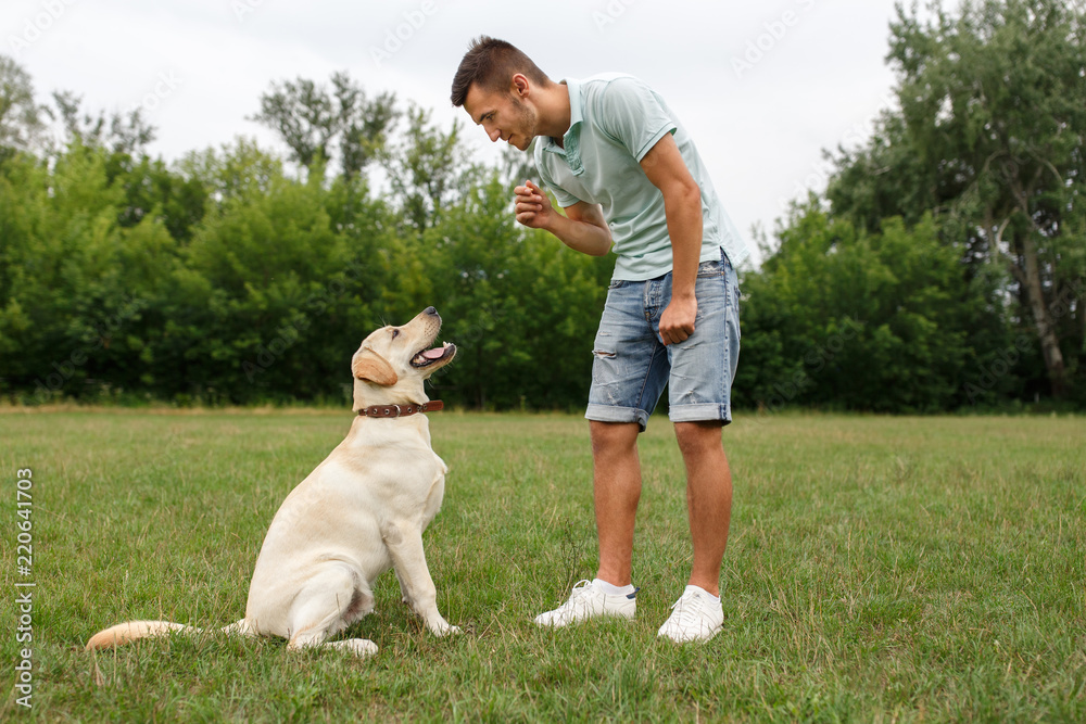 Happy young man is training a dog Labrador outdoors Happy young man is training a dog Labrador outdoors