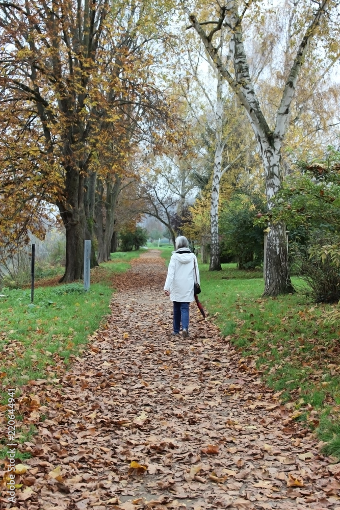 Obraz premium autumn walking