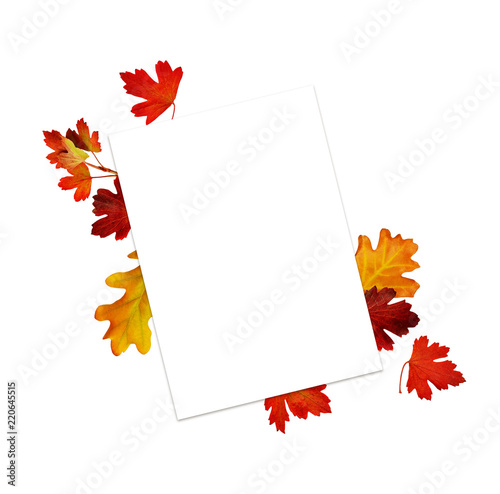 Empty card with autumn leaves