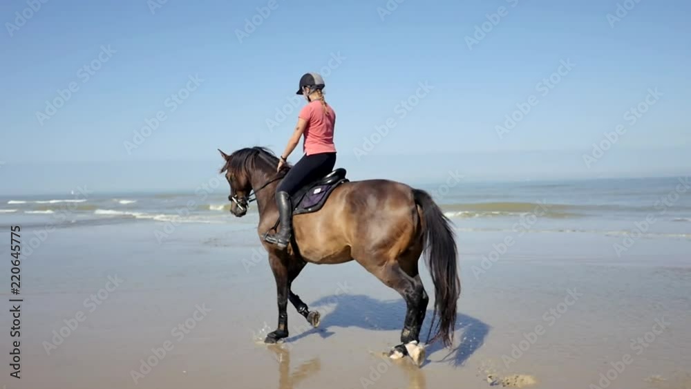 jolie cavalière au trot (slow motion) jolie cavalière au trot (slow motion)