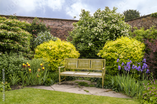 Three seater wooden bench in summer garden full of flowering plants and shrubs. photo