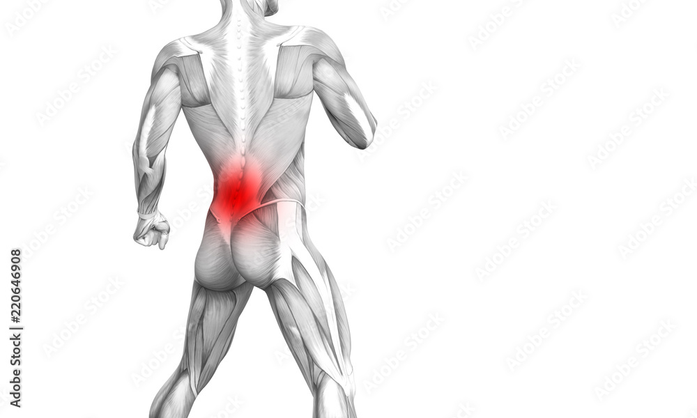 Conceptual back human anatomy with red hot spot inflammation articular joint pain or spine health care therapy or sport muscle concepts. 3D illustration man arthritis or bone sore osteoporosis disease Conceptual back human anatomy with red hot spot inflammation articular joint pain or spine health care therapy or sport muscle concepts. 3D illustration man arthritis or bone sore osteoporosis disease