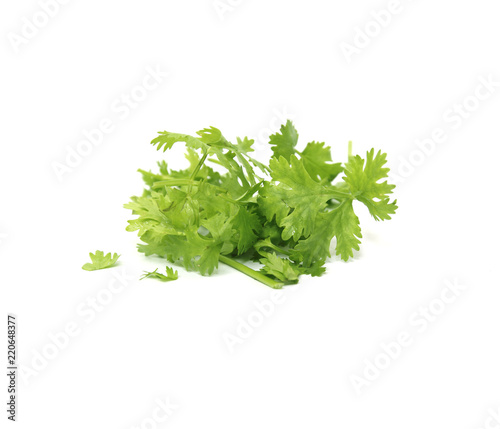 coriander isolated on white background with clipping part