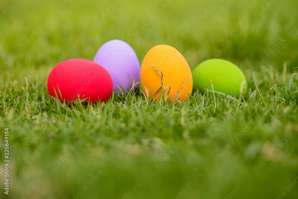 Colorful Easter eggs background. holiday, easter background. Colorful easter eggs on the green garden yard. symbol of easter's day festival. vivid color natural background. festive wallpaper.