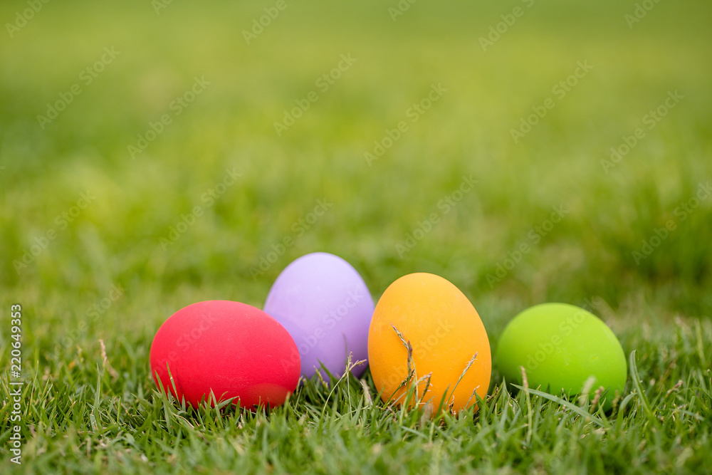 Colorful Easter eggs background. holiday, easter background. Colorful easter eggs on the green garden yard. symbol of easter's day festival. vivid color natural background. festive wallpaper.