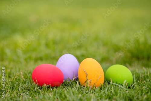 Colorful Easter eggs background. holiday  easter background. Colorful easter eggs on the green garden yard. symbol of easter s day festival. vivid color natural background. festive wallpaper.