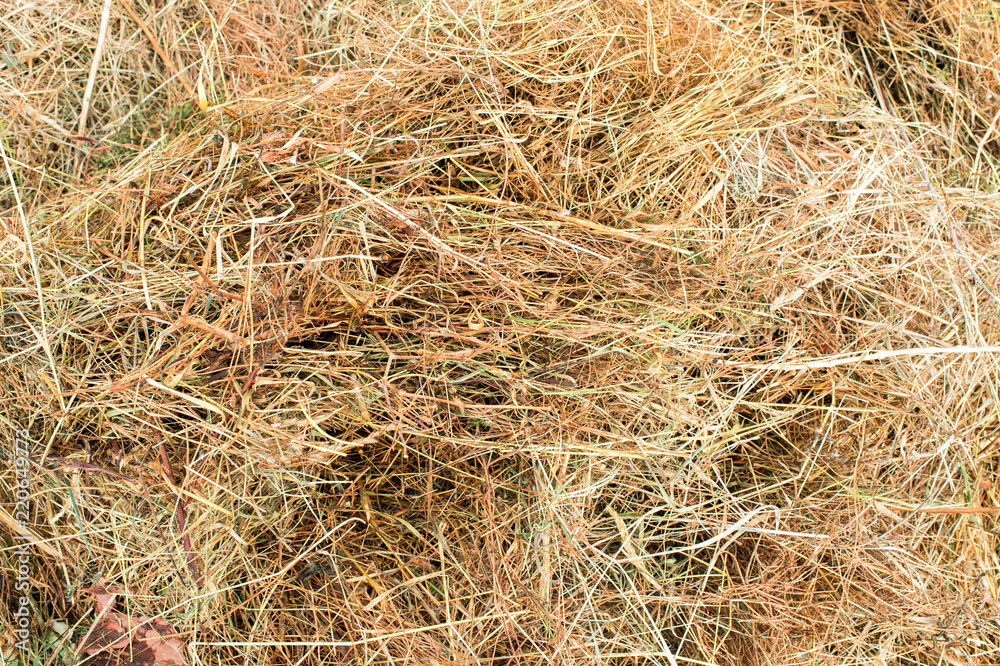 texture of dry hay from grass for livestock texture of dry hay from grass for livestock