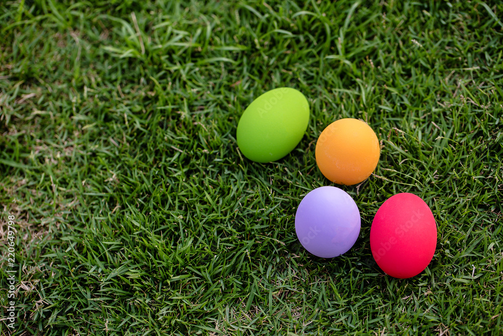 Fototapeta premium Colorful Easter eggs background. holiday, easter background. Colorful easter eggs on the green garden yard. symbol of easter's day festival. vivid color natural background. festive wallpaper.