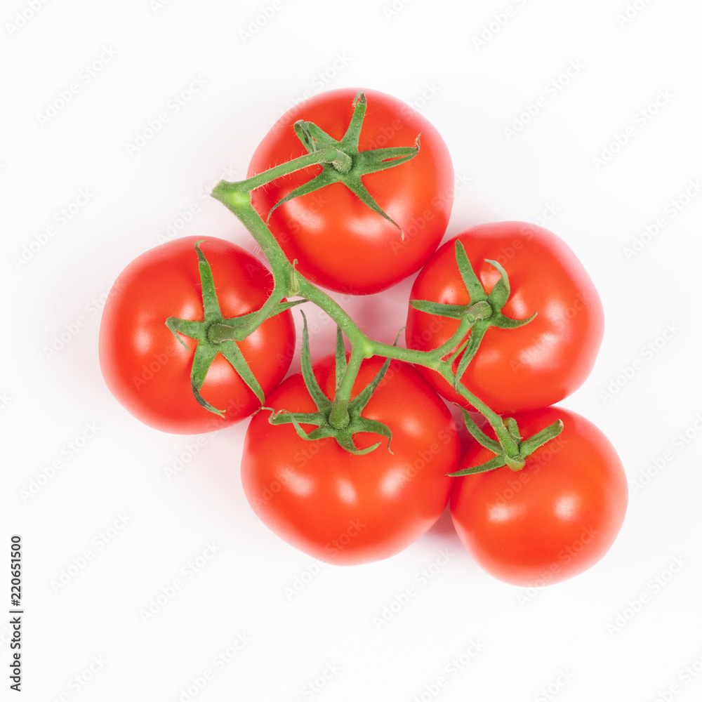 red tomatoes on a green branch