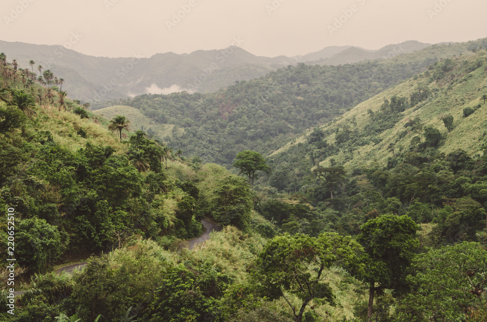 Winding mouintain road, mountains and lush green tropical vegetation on overcast day at Ring Road, Cameroon, Africa