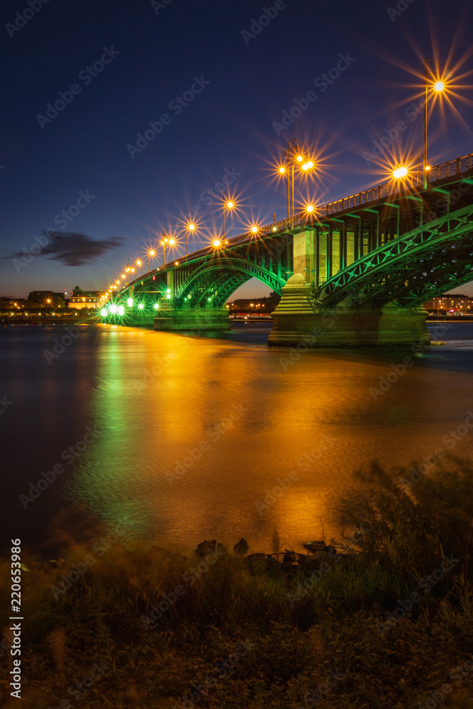 Obraz premium Cityscape of Mainz with Theodor-Heuss-Bridge