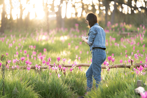 Young woman enjoying taking photo of pink flower field in Thailand © pigprox