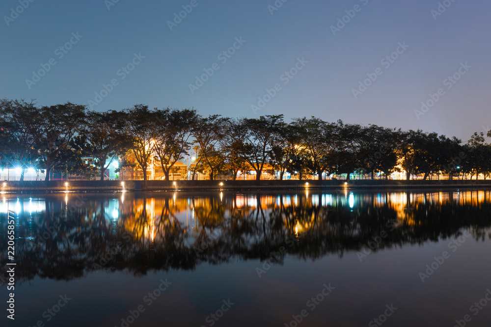 Fototapeta premium Tree on the riverside with their reflection.