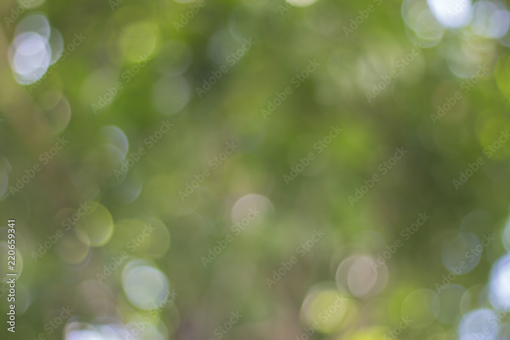 Fototapeta premium Nice, natural green bokeh orbs as a source of graphic design background