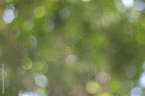 Nice, natural green bokeh orbs as a source of graphic design background