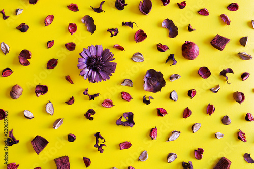Dried flowers potpourri on a background