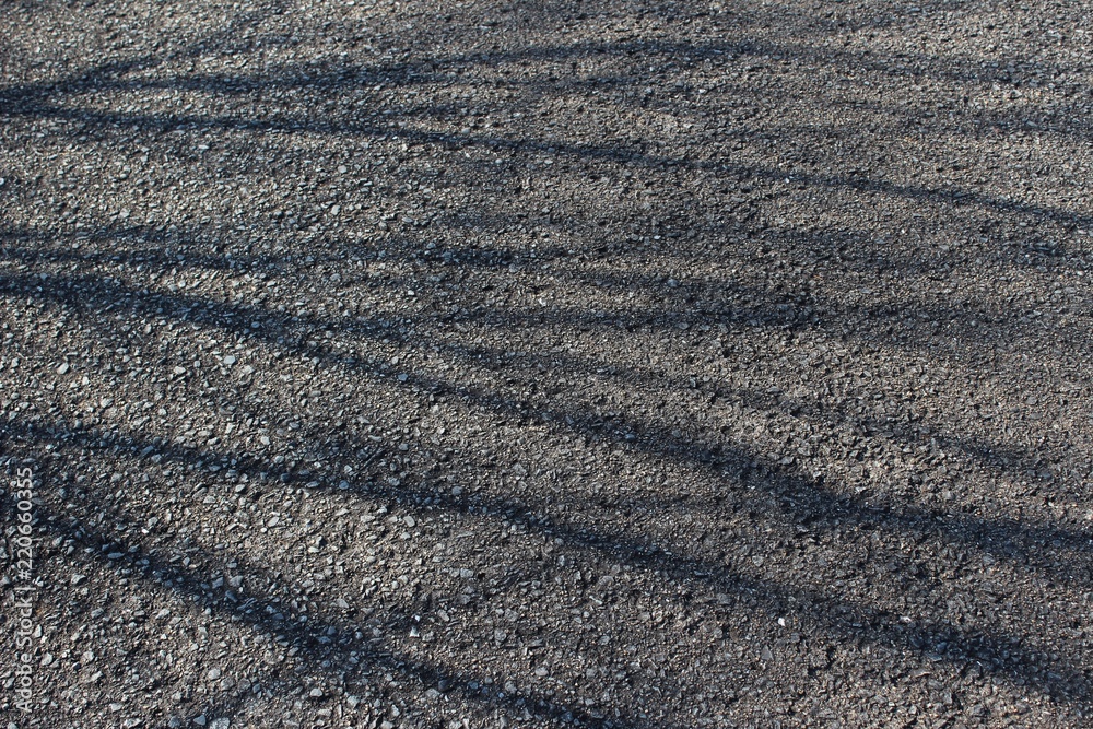 Tree branch shadows on the pavement