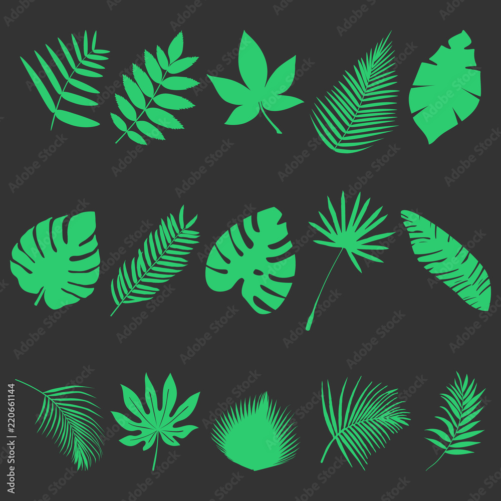 Naklejka premium Set of leaves