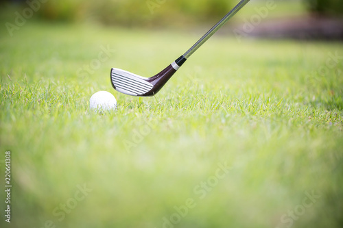 White golf ball and golf club on green grass in golf course. relaxing sport. sport outdoor in summer vacation. sport with the weather.
