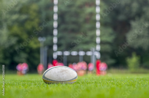 Bild auf Leinwand Rugby ball at green grass. Photo taken at rugby match.