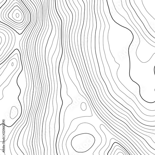 Vector contour topographic map background. Topography and geography map grid abstract backdrop. Business concept. Vector illustration