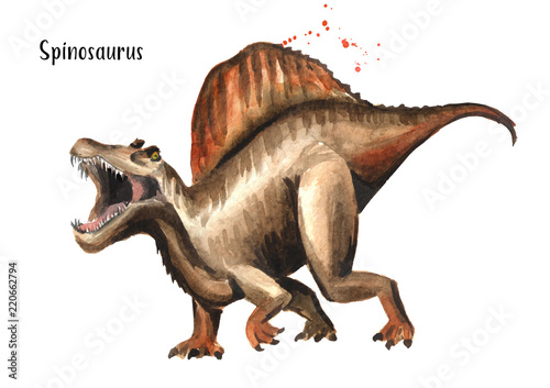 Spinosaurus dinosaur. Watercolor hand drawn illustration, isolated on white background © dariaustiugova