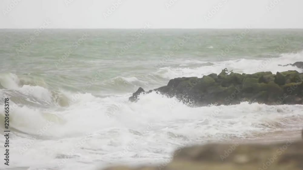 custom made wallpaper toronto digitalocean surf and coast