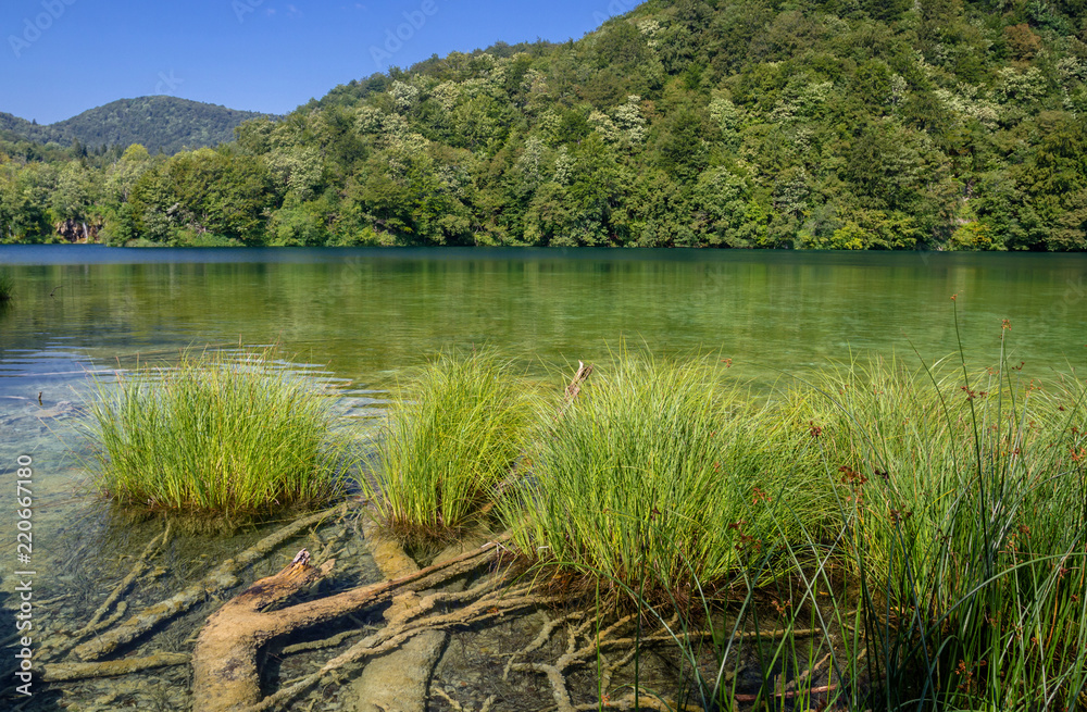 Fototapeta premium Beautiful view in Plitvice Lakes National Park. Croatia