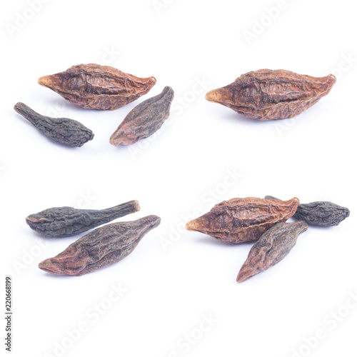 Wallpaper Mural Thai herb name Terminalia citrina Roxb. ex Fleming isolated on white background. Thai herb medicine concept. Torontodigital.ca