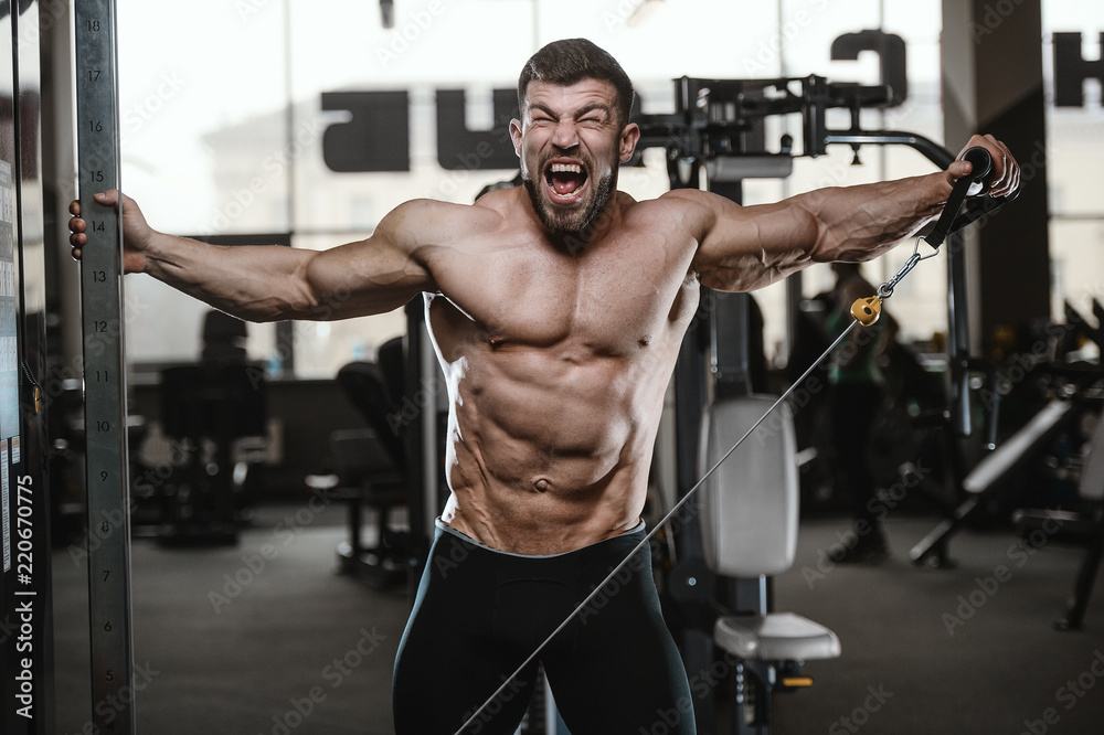 Brutal strong bodybuilder athletic men pumping up muscles with dumbbells Brutal strong bodybuilder athletic men pumping up muscles with dumbbells