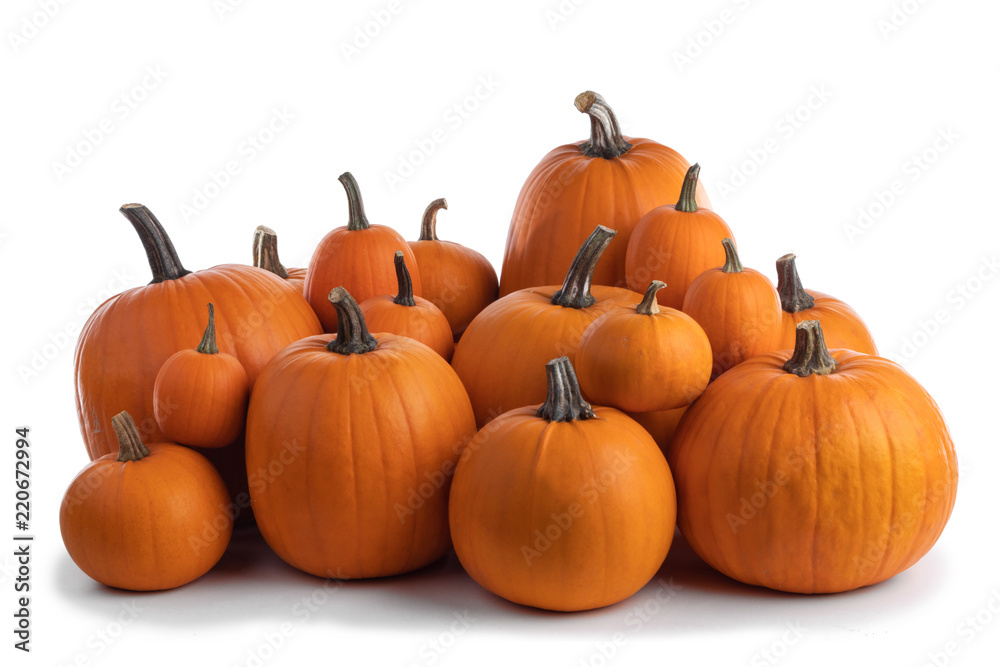 Heap of orange pumpkins Heap of orange pumpkins