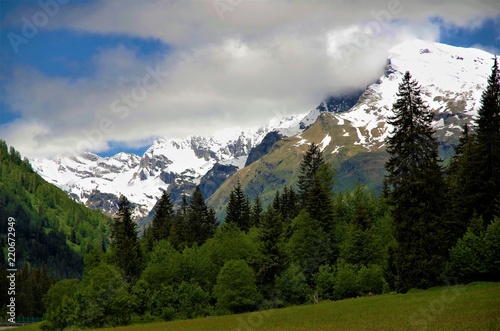 snowy mountains and coniferous forest in the alps