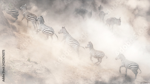 Dramatic Dusty Great Migration in Kenya