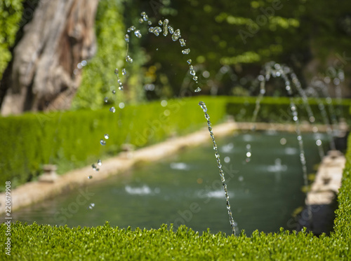 Generalife fountain and gardens in Alhambra photo