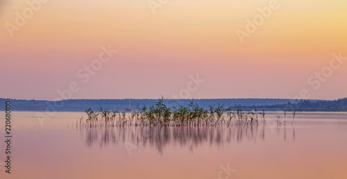 Fototapeta Naklejka Na Ścianę i Meble -  The reed grows in the waters of the German lake. It is morning and the rising sun has red to orange color. The background is on the yacht surface. This sunrise on the lake is wonderful.