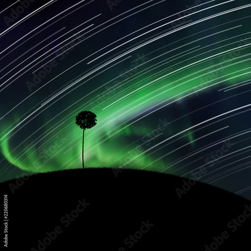 Landscape with lonely tree at night. Vector illustration with silhouette of maple on hill. Rotation of stars. Northern lights in starry sky. Colorful aurora borealis