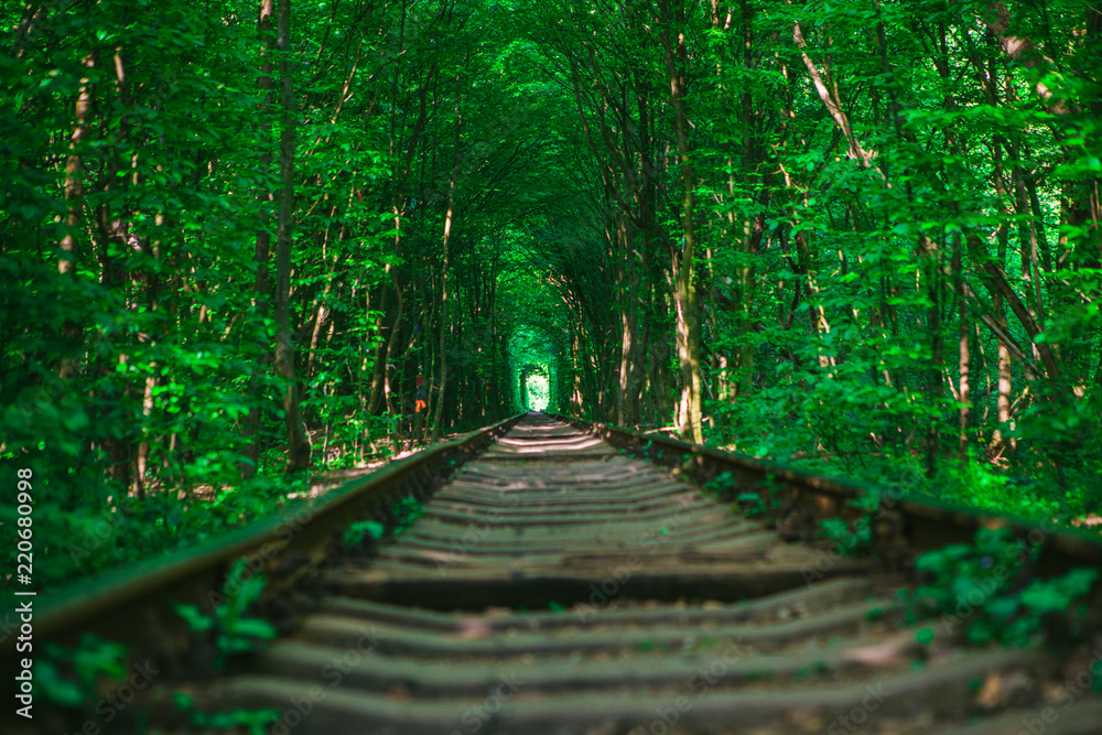 a railway in the spring forest tunnel of love a railway in the spring forest tunnel of love