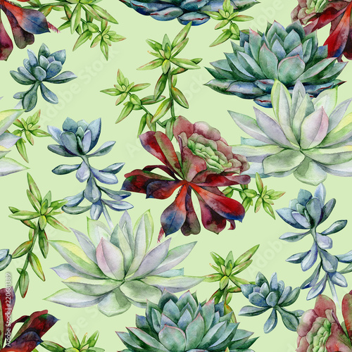 Watercolor succulents seamless pattern, echeveria illustration, botanical painting of dudleya and zwartkop. Stone rose. Sempervivum art. Elements for design of invitations, movie posters, fabrics. 