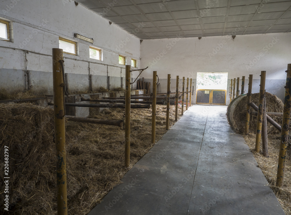 Fototapeta premium old empty horse stable stall block in historical farm Benice