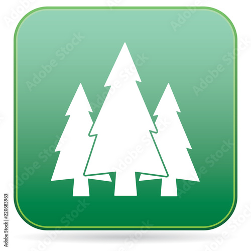 Fir Trees forest icon