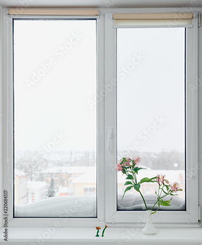 Frosty winter window view and vase with flowers on windowsill