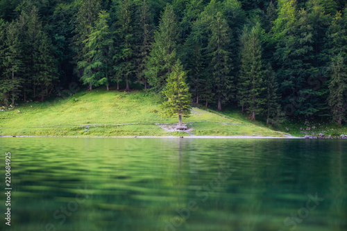 Forest and lake in the Switzerland. Forest and reflection on water surface. Beautiful landscape at the summer time