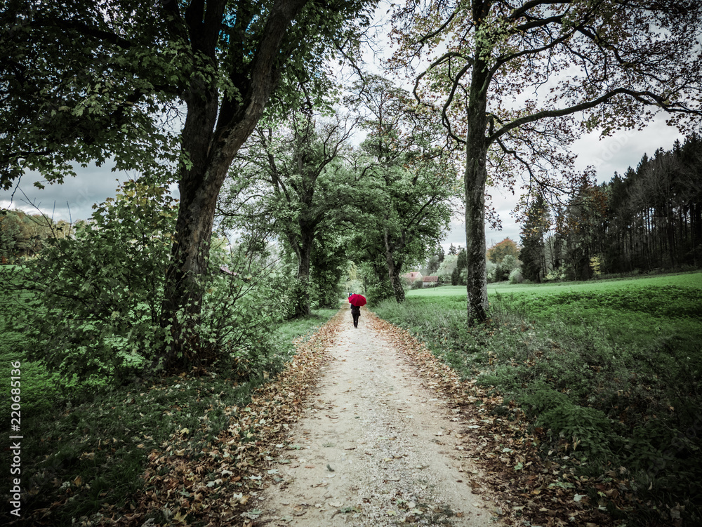 Woman with red umbrella posing in the autumn landscape Woman with red umbrella posing in the autumn landscape