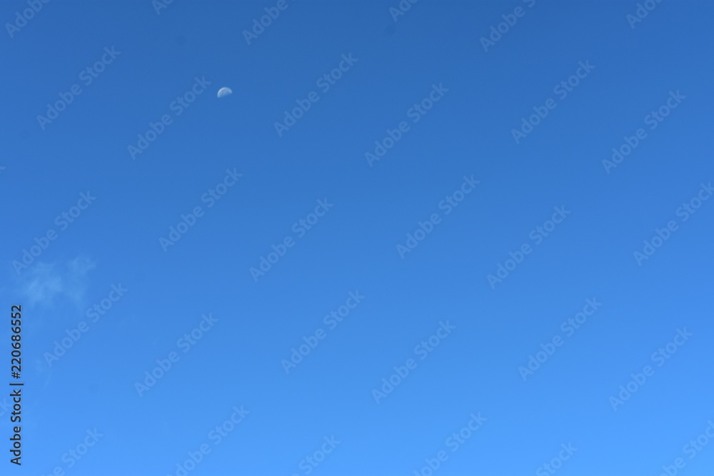 Morning Moon Morning Moon