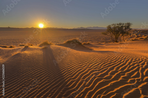 Sunset side light ripples in the sand