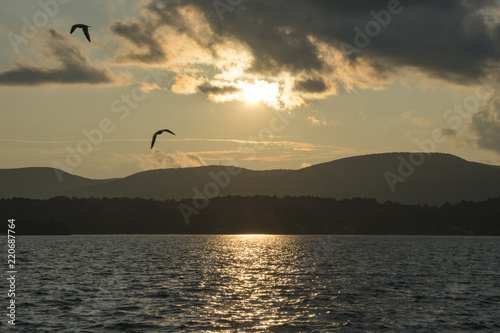Sunset freedom