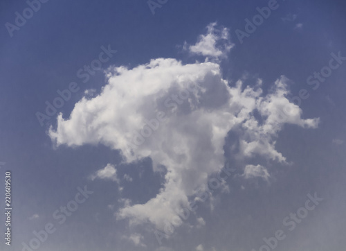 White Cloud on Sunny Day - Blue Sky