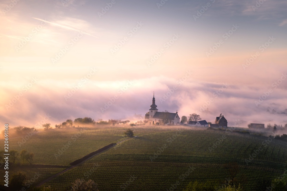 Foggy Morning at Nierstein - Rhineland Palatinate