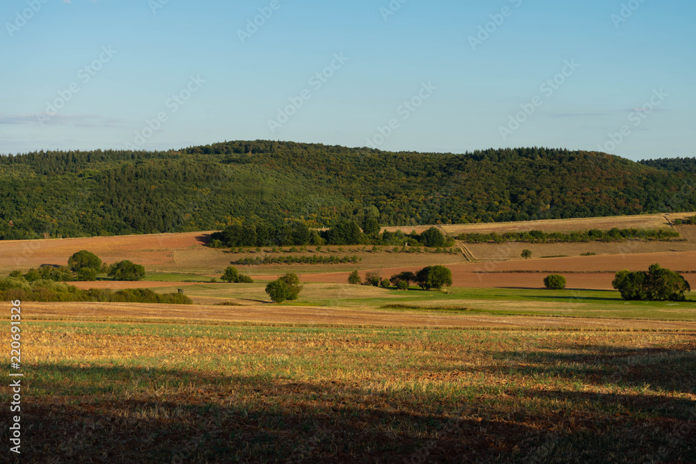 Landschaft am Donnersberg, Pfalz, im Spätsommer